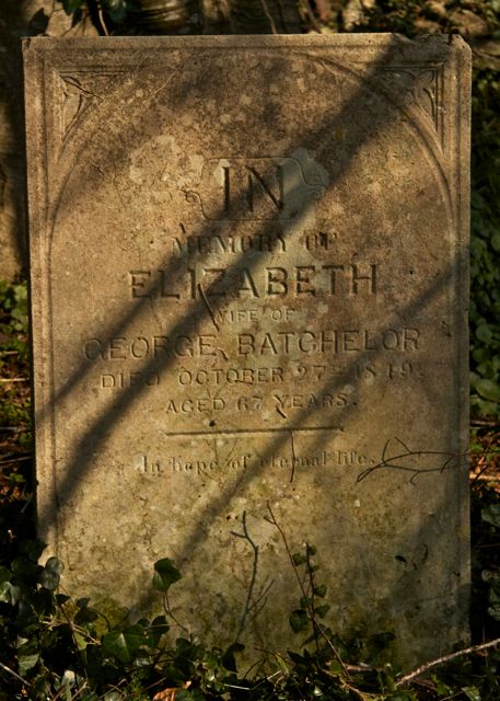 Batchelor Elizabeth
