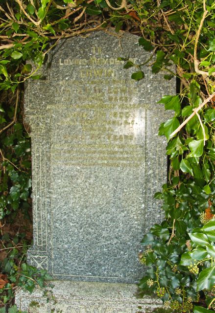 Lower, Erwin