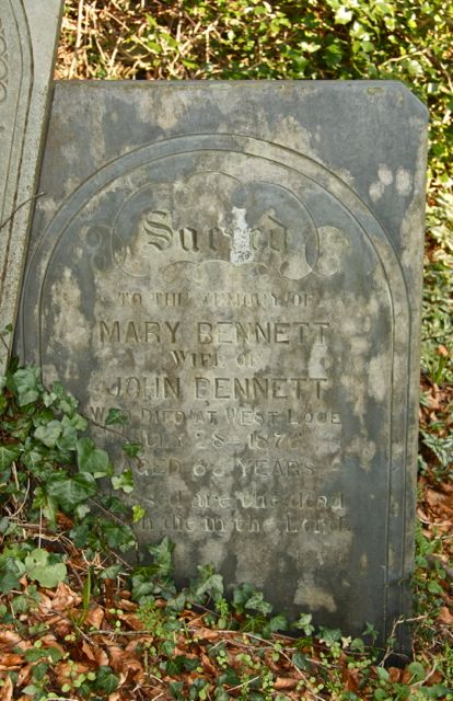 Bennett Mary
