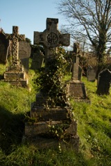 Towils, Elizabeth Ann