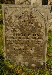 Wills Jenny