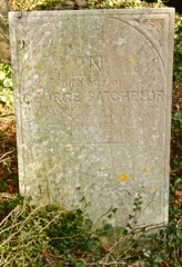 Batchelor George