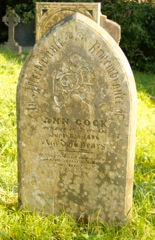 Cock, Ann