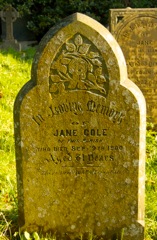 Cole, Jane