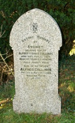 Collings, Sydney & Alfred