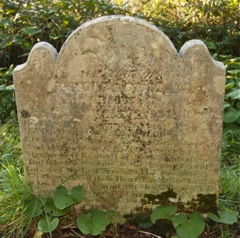 Goodman John