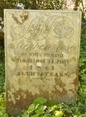 Jose Stephen