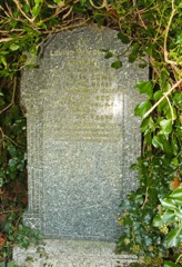 Lower, Erwin