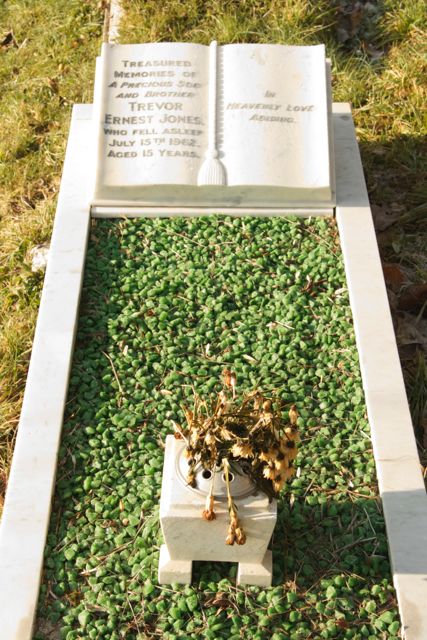 Jones, Trevor Ernest