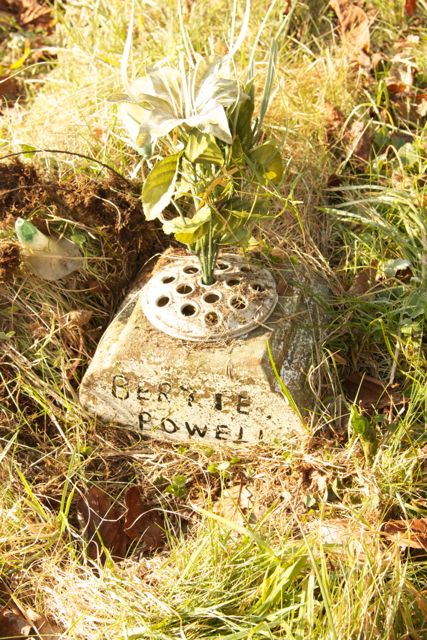Powell, Bertie