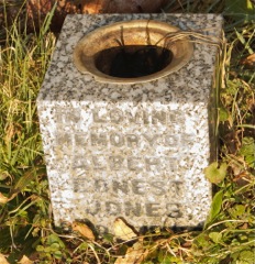 Jones, Albert Ernest