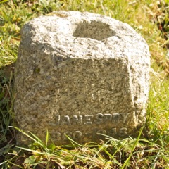Spry, Jane